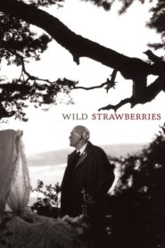 Wild Strawberries – Άγριες Φράουλες