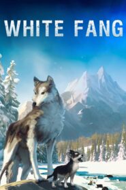 White Fang – Ο Ασπροδόντης – Croc-Blanc