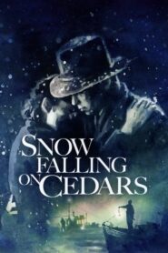 Snow Falling on Cedars – Χιόνι πάνω στους κέδρους