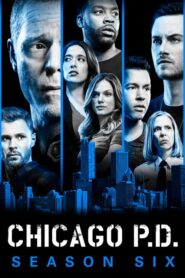 Chicago P.D.: Season 6