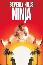 Beverly Hills Ninja – Νίντζα 900 Κυβικών