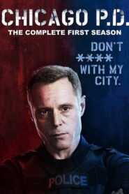 Chicago P.D.: Season 1