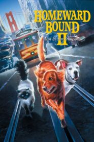 Homeward Bound II: Lost in San Francisco – Απίθανο ταξίδι 2: Χαμένοι στο Σαν Φρανσίσκο
