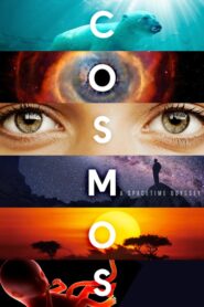 Cosmos: A Spacetime Odyssey: Season 1