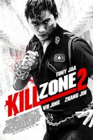 SPL 2: A Time for Consequences – Kill Zone 2 – Sha po lang 2