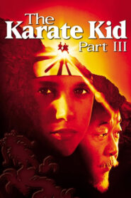 The Karate Kid, Part III – Καράτε κιντ 3