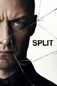 Split – Διχασμένος