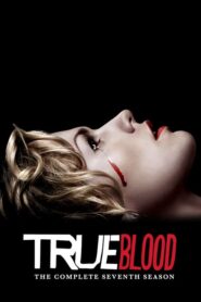 True Blood: Season 7