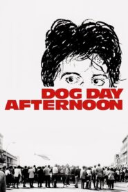 Dog Day Afternoon – Σκυλίσια Μέρα