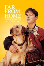 Far from Home: The Adventures of Yellow Dog – Μακριά Από Το Σπίτι. Οι Περιπέτειες Του Κίτρινου Σκύλου