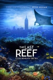 The Last Reef 3D