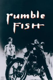 Rumble Fish – Ο Αταίριαστος