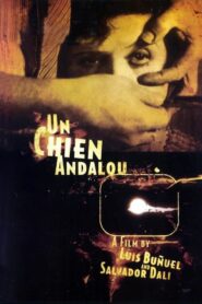 Un Chien Andalou – Ανδαλουσιανός σκύλος