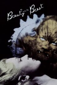 Beauty and the Beast – Η Πεντάμορφη και το Τέρας
