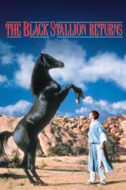 The Black Stallion Returns –  Η μαυρη καλλονη επιστρεφει – Η επιστροφη του μαυρου αλογου