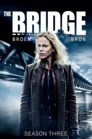 The Bridge: Season 3