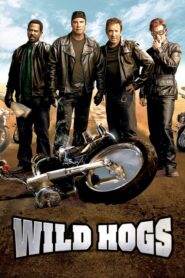 Wild Hogs – Οι χαρλεάδες