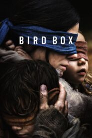 Bird Box – Με τα Μάτια Κλειστά