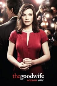 The Good Wife: Season 1