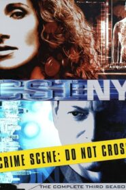 CSI: NY: Season 3