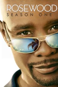 Rosewood: Season 1