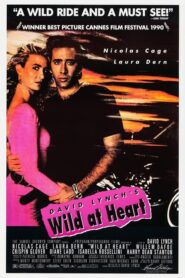 Wild at Heart – Ατίθαση καρδιά