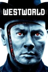 Westworld – Ο επαναστάτης της νύχτας