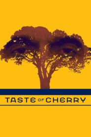 Taste of Cherry – Η γεύση του κερασιού