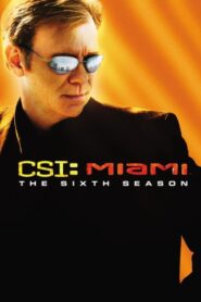 CSI: Miami: Season 6