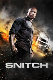 Snitch – Το Καρφί