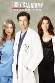 Grey’s Anatomy: Season 2