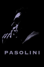 Pasolini – Παζολίνι