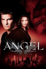 Angel: Season 1