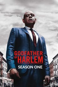 Godfather of Harlem: Season 1