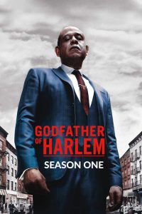 Godfather of Harlem: Season 1