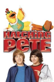 Hatching Pete – Ο Πιτ το Κοτόπουλο