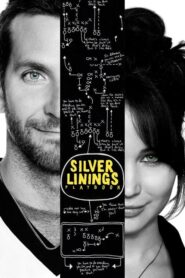 Silver Linings Playbook – Οδηγός Αισιοδοξίας