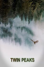 Twin Peaks – Ο ύποπτος κόσμος του Τουίν Πικς