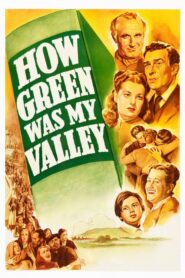 How Green Was My Valley – Η Κοιλάδα της Κατάρας