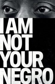 I Am Not Your Negro – Δεν Είμαι ο Νέγρος σου