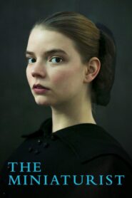 The Miniaturist: Season 1