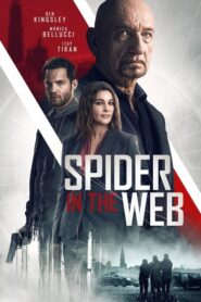 Spider in the Web – Δίκτυο Κατασκόπων