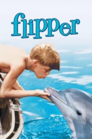 Flipper – Ο ψαράς και το δελφίνι