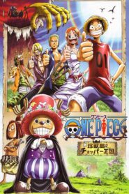 One Piece: Chopper’s Kingdom on the Island of Strange Animals
