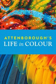 Attenborough’s Life in Colour – Η Ζωή με Χρώμα με τον Ντέιβιντ Ατένμπορο