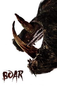 Boar – Το Αγριογούρουνο