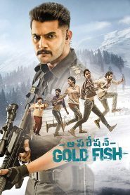 Operation Gold Fish