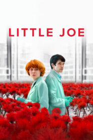 Little Joe – Το λουλούδι της ευτυχίας