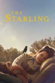 The Starling – Το Ψαρόνι