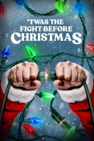 Twas the Fight Before Christmas